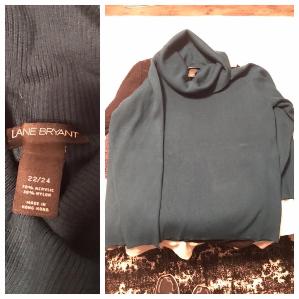 Lane Bryant turtleneck